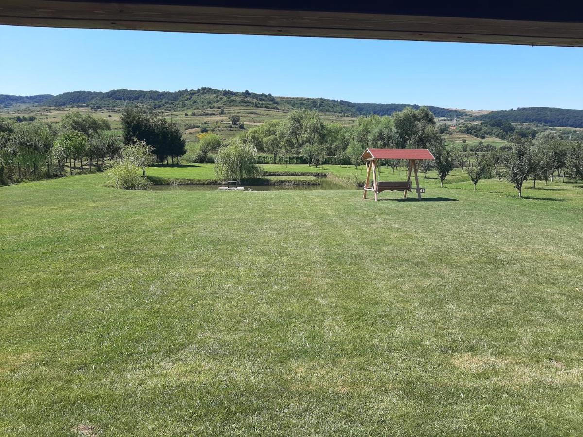 Kacso Apartma Ocna de Sus Exterior foto